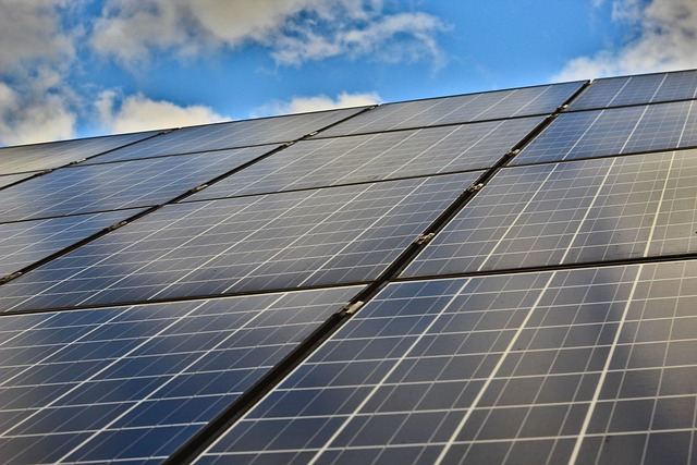 Solceller 2024: Overblik over de nyeste produkter og trends