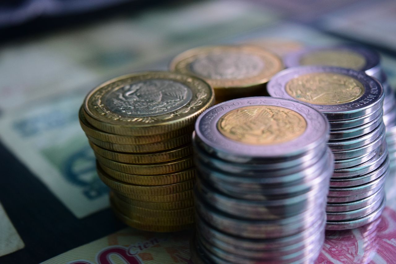 Finansiel fejlfinding: En biologisk guide til økonomisk ansvarlighed